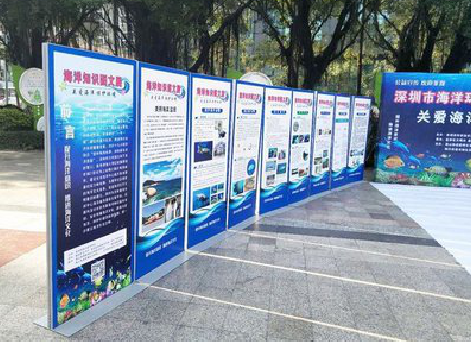 北碚KT板的种类和知识。